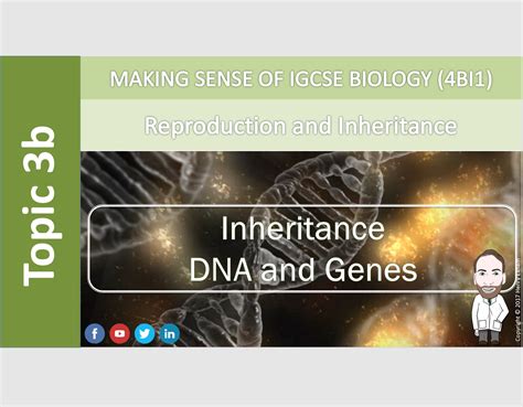 3b Inheritance Dna And Genes