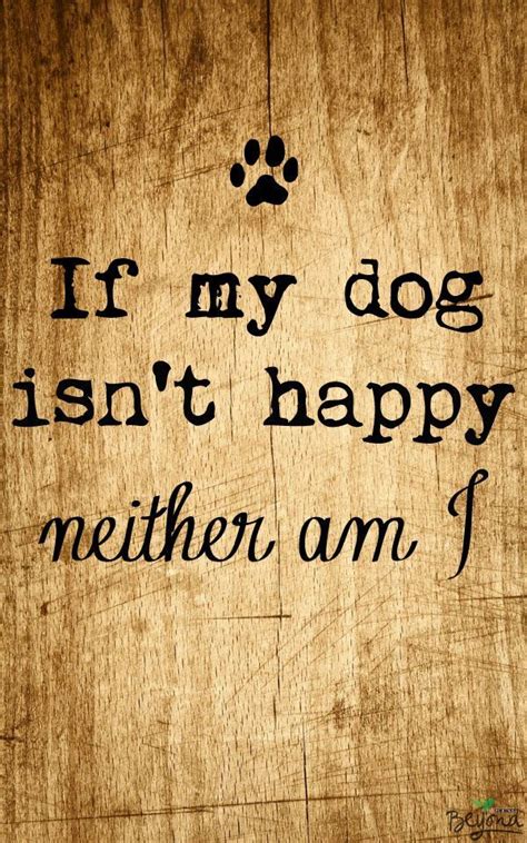 Dog Quote Dog Quotes Happy Dogs Dog Love
