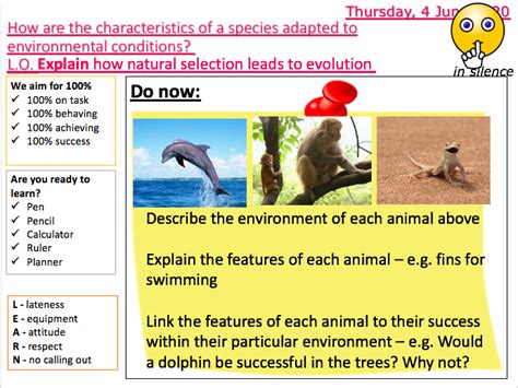 Ks3 Biology Variation Teaching Resources