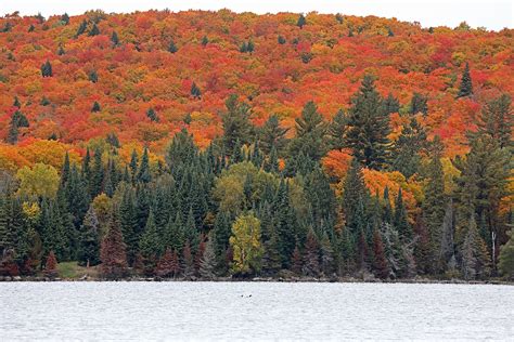 7 Of The Most Beautiful Fall Destinations In Ontario Outdoor Travel Blog