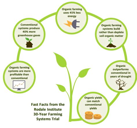 How Organic Farming Strengthens Global Food Security