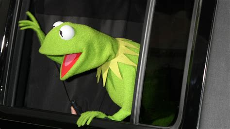 Kermit The Frog Lends His Face To New French Fashion Collection Ksnv