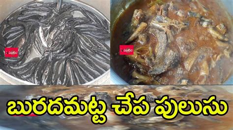 బురదమట్ట చేపల పులుసు Buradamatta Fish Pulusu How To Cook Spotted