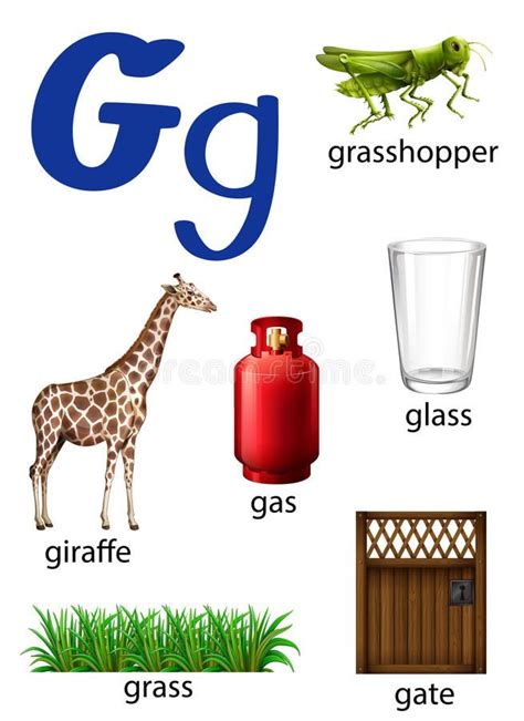 Illustration About Things That Start With The Letter G On A White