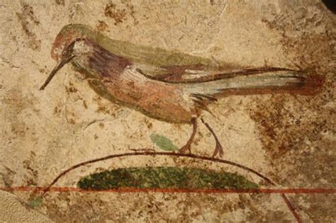 Roman Bird Fresco | Roman art, Ancient art, Ancient people