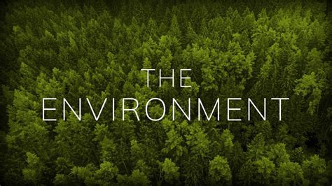 People react to their environment in a variety of ways. The Environment | American Experience | Official Site | PBS