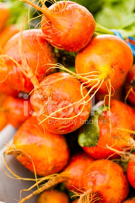 Fresh Produce Stock Photo Royalty Free Freeimages
