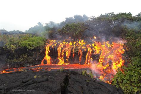 Lavafall In The Hawaiian Jungle Rnatureismetal