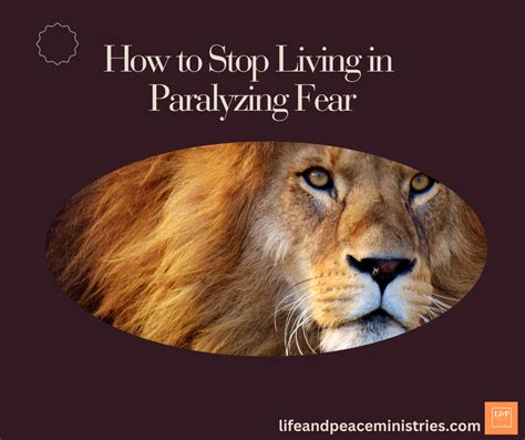 How To Stop Living In Paralyzing Fear Life And Peace Ministries
