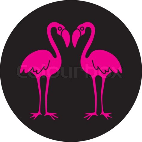 Pink Flamingo Vector Illustration Stock Vector Colourbox