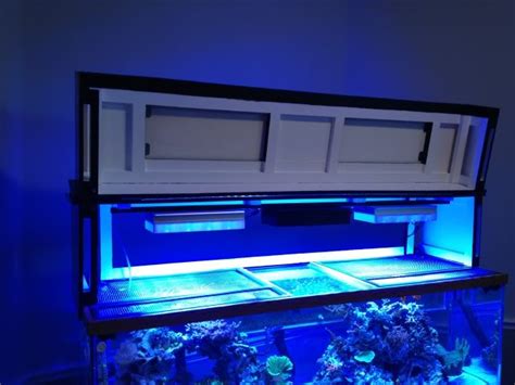 Robert woods is the creator of fishkeeping world, a third generation fish keeper and a graduate in animal welfare and behavior. DIY Canopy Build for a 100 Gallon Aquarium - Aquaholic