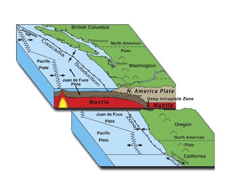 Oregon Department Of Emergency Management Cascadia Subduction Zone