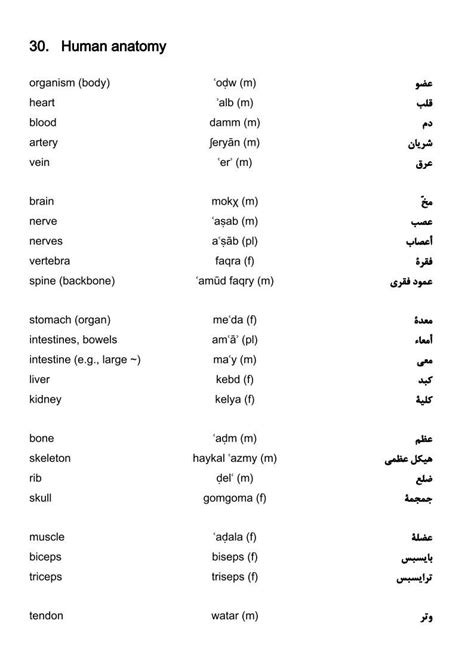 Egyptian Arabic Vocabulary Human Anatomy Learn English Words