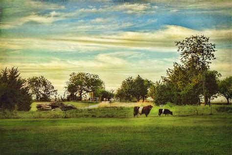 Peaceful Pasture Landscape Photograph By Ann Powell Fine Art America