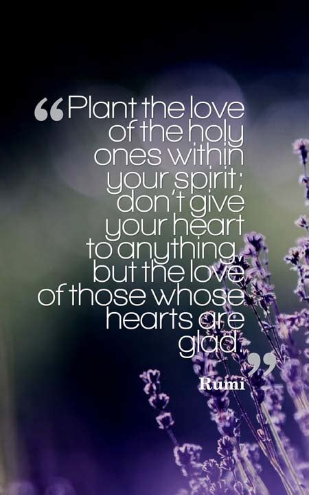 When things beyond our comprehension happen to us, one of the best things that keeps us so we bring you the ultimate collection of rumi quotes on love, life, friendship and death to let you dig deeper into his wisdom and to give you insight. 75 Life-Changing Rumi Quotes to Inspire You | Planet of ...
