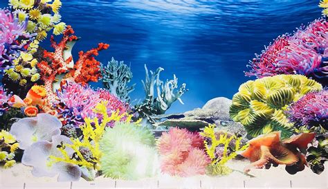 Printable Aquarium Background