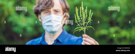 Young Man In A Medical Mask Because Of An Allergy To Ragweed Banner