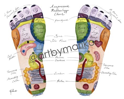 Foot Reflexology Chart Acupressure Chart Acupuncture Print Reflexology