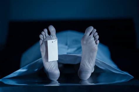 860 Dead Body Morgue Stock Photos Pictures And Royalty Free Images Istock