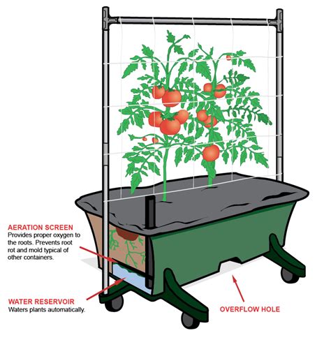 Young Urban Farmers Why We Love Self Watering Containers