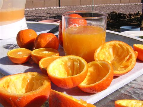 Free Photo Fresh Squeezed Orange Juice Deliciousorangej Fresh