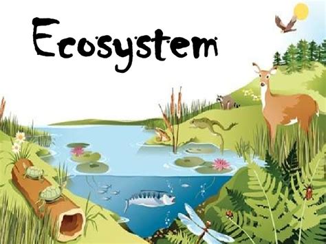 Ef Biotic And Abiotic Factors Ecosystems Diagram Quizlet