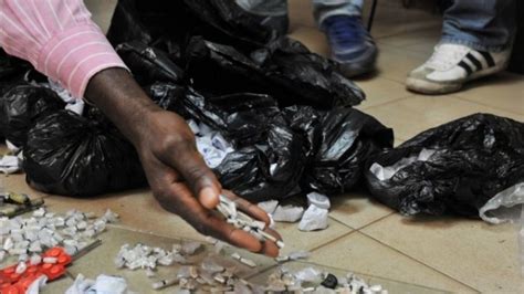 Trafic de drogue à Abidjan la gendarmerie interpelle individus et saisit kg de cannabis