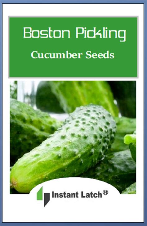 Boston Pickling Cucumber Seeds Non Gmo Fresh Garden Seeds Instant