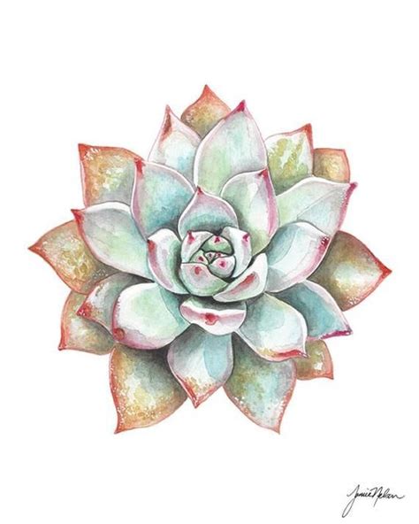 Succulent Watercolor Cactus Art Print Succulent Painting