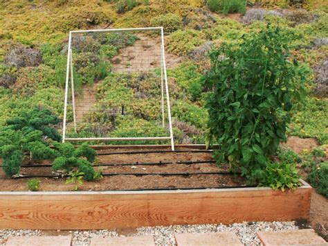 Diy Squash And Cantaloupe Trellis Vertical Garden Diy Organic Raised