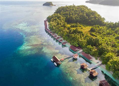 Papua Paradise Eco Resort Raja Ampat Orca