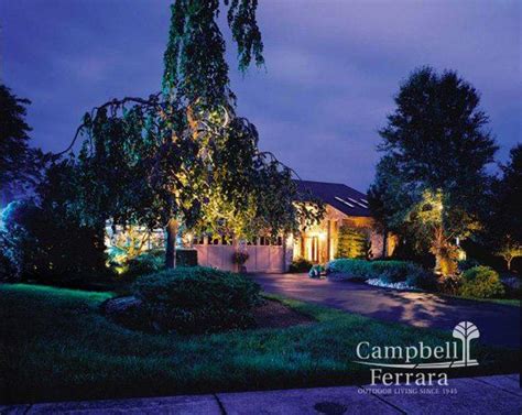 Landscape Lighting Gallery Campbell And Ferrara