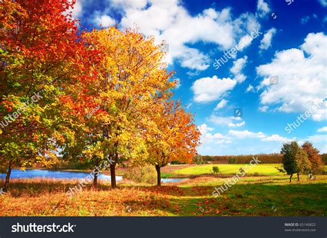 Beautiful Autumn Landscape At The Morning Park Stock Photo 65146822
