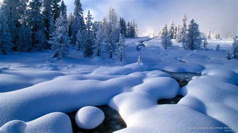 Yellowstone Winter Wallpapers Top Free Yellowstone Winter Backgrounds