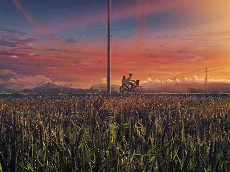 Wallpaper Sunlight Landscape Sunset Anime Bicycle Sky Field