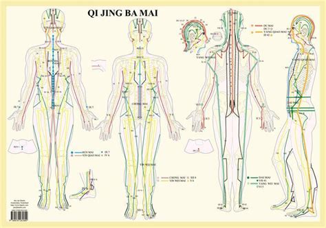 16 Point Meridian Activation Of The Qi Jing Ba Mai