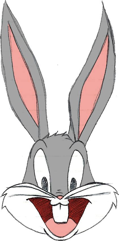 Bugs Bunny Lola Bunny Looney Tunes Drawing Cartoon Bugs Bunny Face