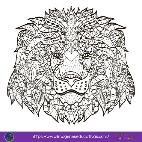 Mandalas De Animales 20 Imagenes Educativas