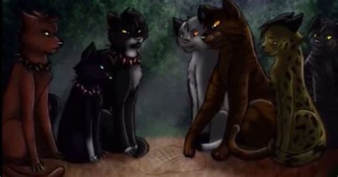Tigerstar And Scourge Scourge Of Bloodclan Pinterest