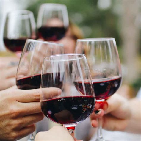 National Red Wine Day 2023 History Importance And How To Celebrate