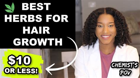 Best Affordable Herbs For Hair Growth That Actually Work Youtube