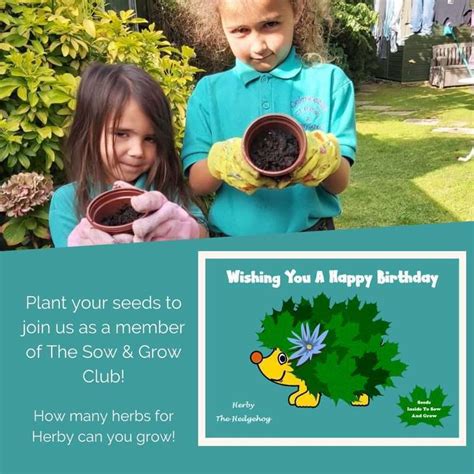 Seeds Of Love Childrens Sow And Grow Herby The Hedgehog With Seeds