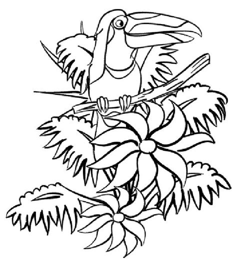 Rainforest Animal Coloring Pages Online New Coloring Pages