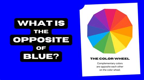 What Is The Opposite Of Blue Complementary Color Color Meanings