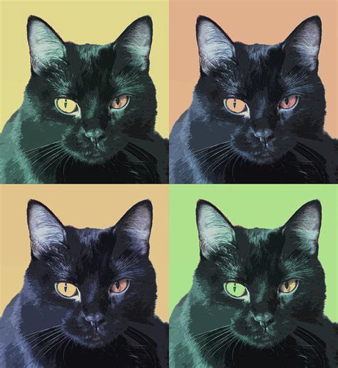 The original scene is from a cat called oatmeal. Black Cat Pop Art Photograph by Susan Stone