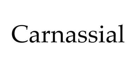 How To Pronounce Carnassial Youtube