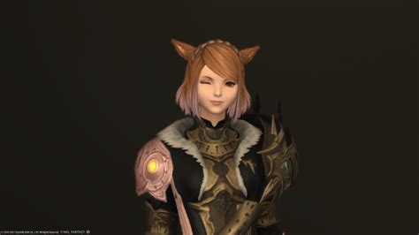 How To Get The Form And Function Hairstyle In Ffxiv Millenium