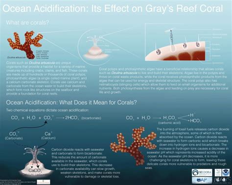 Ocean Acidification Monitoring Science Gray S Reef National Marine Sanctuary