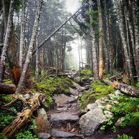 A Misty Morning In The White Mountains Of New Hampshire Rhiking