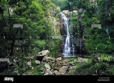 Waterfall Called Minnamurra Falls In Budderoo National Park Nsw